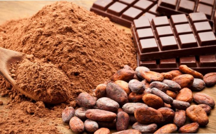 Kakao istehsalının artmasına baxmayaraq qiymətləri kəskin düşməyəcək