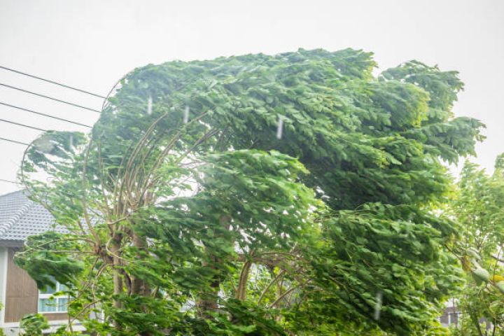 Bakıda və bir sıra rayonlarda külək güclənəcək - SARI XƏBƏRDARLIQ