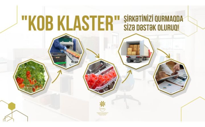 Klasterləşmə təşəbbüsü olan sahibkarların nəzərinə! - 7 il vergilərdən tam azad ediləcəklər