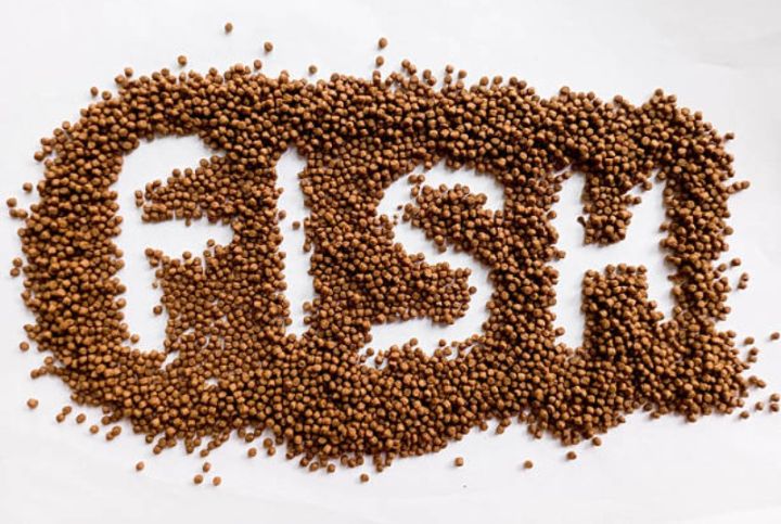 Azərbaycan şirkəti Özbəkistan və Qırğızıstana balıq yemi məhsulu ixrac edir