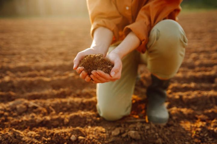 Kənd təsərrüfatına verilən vergi güzəştləri balıqçılığa da şamil ediləcək