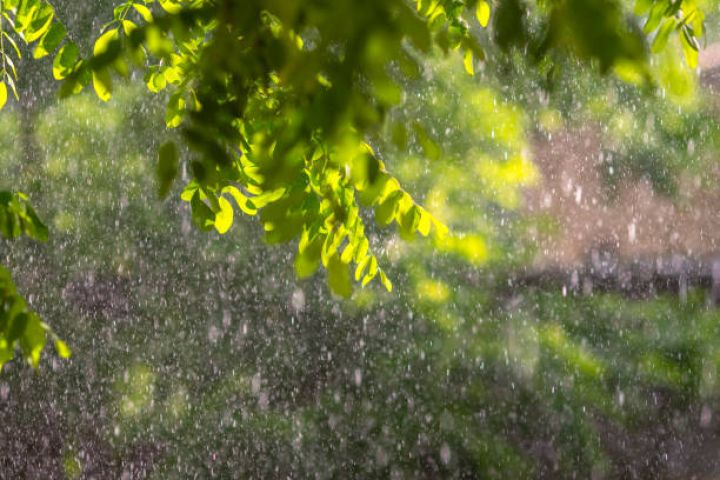 Bakıda yağış yağacaq, bəzi yerlərdə leysan olacaq - XƏBƏRDARLIQ