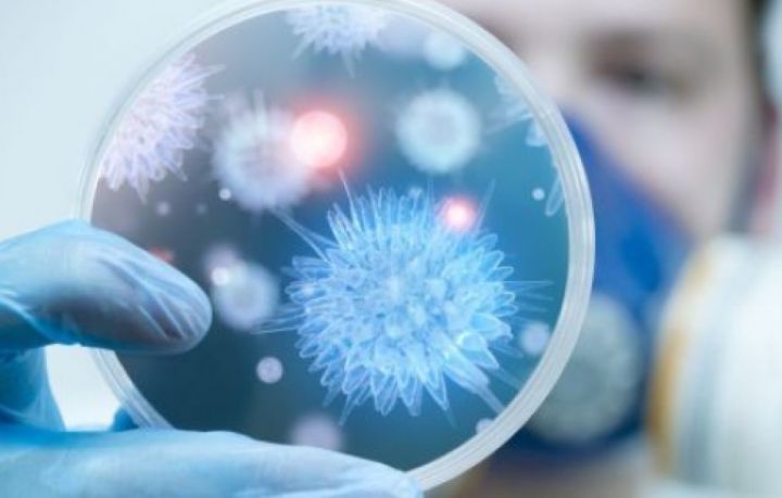 Qırğızıstanda da metapnevmovirus infeksiyasına yoluxma halı aşkarlanıb