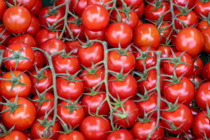 Azərbaycanın 2024-cü ildə pomidor ixracından gəliri məlum olub